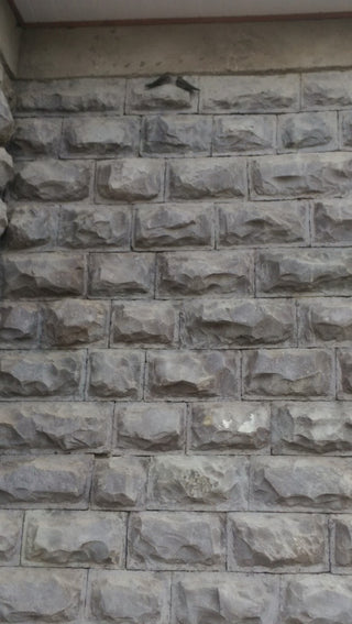 Blue Stone Smooth Dressed