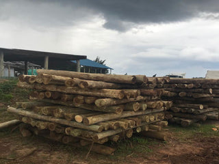 8 Feet Height 6″ Top Diameter Treated Poles