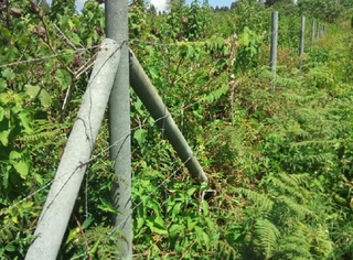 Fencing Post (Recycled Plastic)